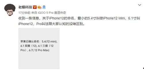 codm 12最新爆料,全新玩法与角色曝光，战斗体验再升级！  第1张