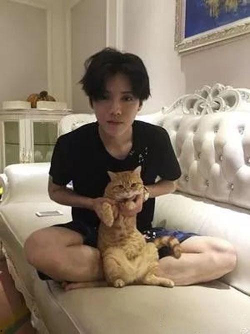 杨八星被爆料结婚视频,甜蜜瞬间见证爱情升华  第1张